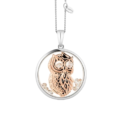 Wise Owl - ASTRA Jewellery
Silver &amp; Rose Gold Plated; 16mm 
19.7 ...