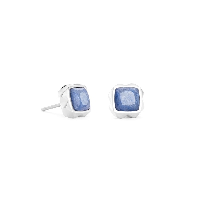 Coeur De Lion
Natural Blue Stone Earrings
Steel
0.8cm

Immerse...