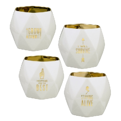 Planter - White & Gold Planters. 
Choose from 4 styles.  