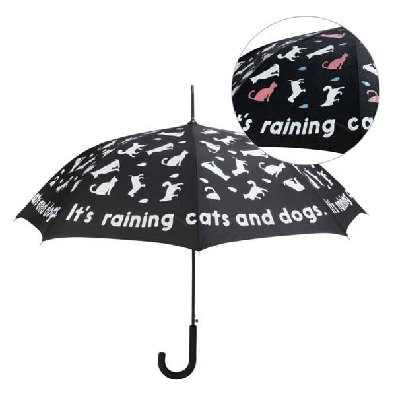 Colour-Chainging Umbrella
Choose from Flowers or Cats & Dogs  