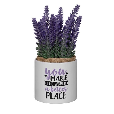   You Make The World A Better Place    Planter with Removeable Purp...