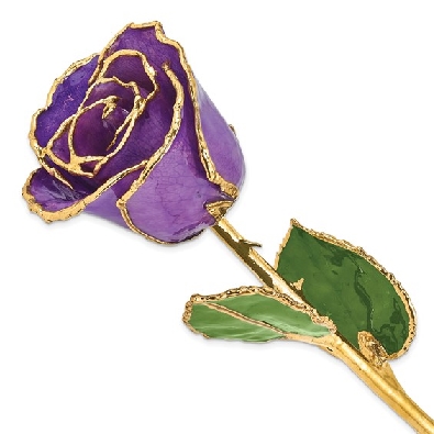 24KT Gold Trimmed Real Rose in Lilac
Lacquer Dipped 

  