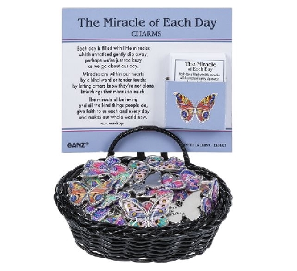 Pocket Charm
The Miracle of Each Day

Each day is filled with li...