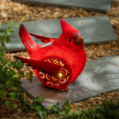 Solar Engraved Cardinal  