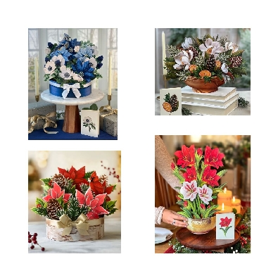 Fresh Cut
Pop UP Card
Large

4 Assorted Styles
Scarlet Amaryll...