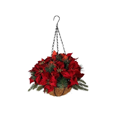 Holiday Poinsettia
Hanging Basket
12    