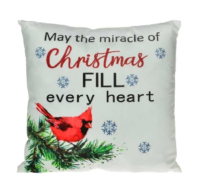 LED Cardinal Miracle Pillow
16    