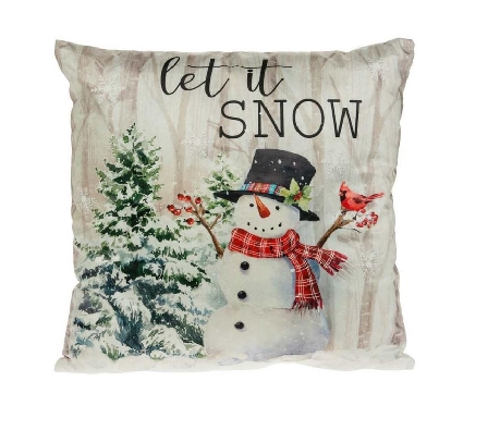 LED Snowman Pillow
  Let It Snow  
16    