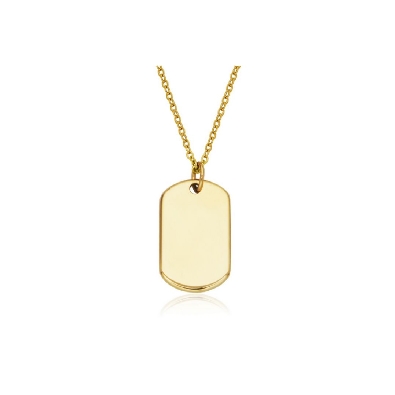 STEELX
Dog Tag Necklace
Gold IP
13x21mm
16+2    