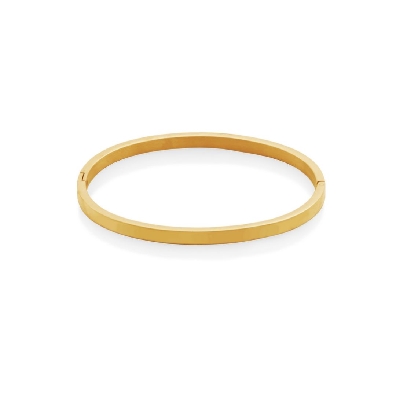 STEELX
Bangle Bracelet
Yellow Gold Plated Steel
4mm
 7    