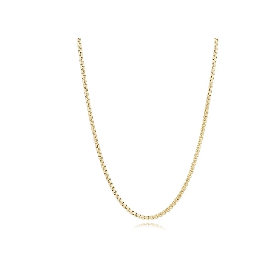 ITALGEM STEEL
Round Box Chain
Yellow Gold Plated
2.5mm
22    