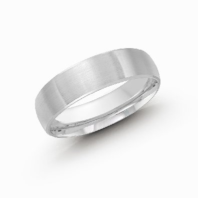 Gents Wedding Band 6mm 10KT WG

LUX-249-6WP  