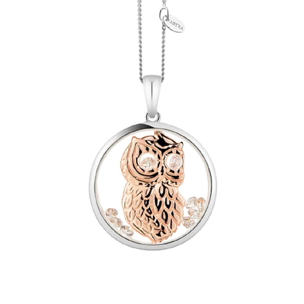 Wise Owl - ASTRA Jewellery
Silver &amp; Rose Gold ...