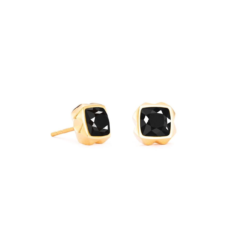 Coeur De Lion
Natural Black Stone Earrings
Ye...