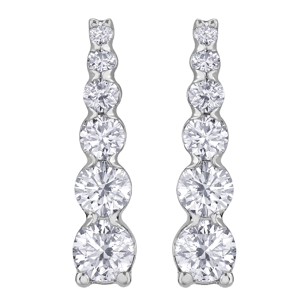 Diamond Earrings from the Diamond Envy&trade; Colle...