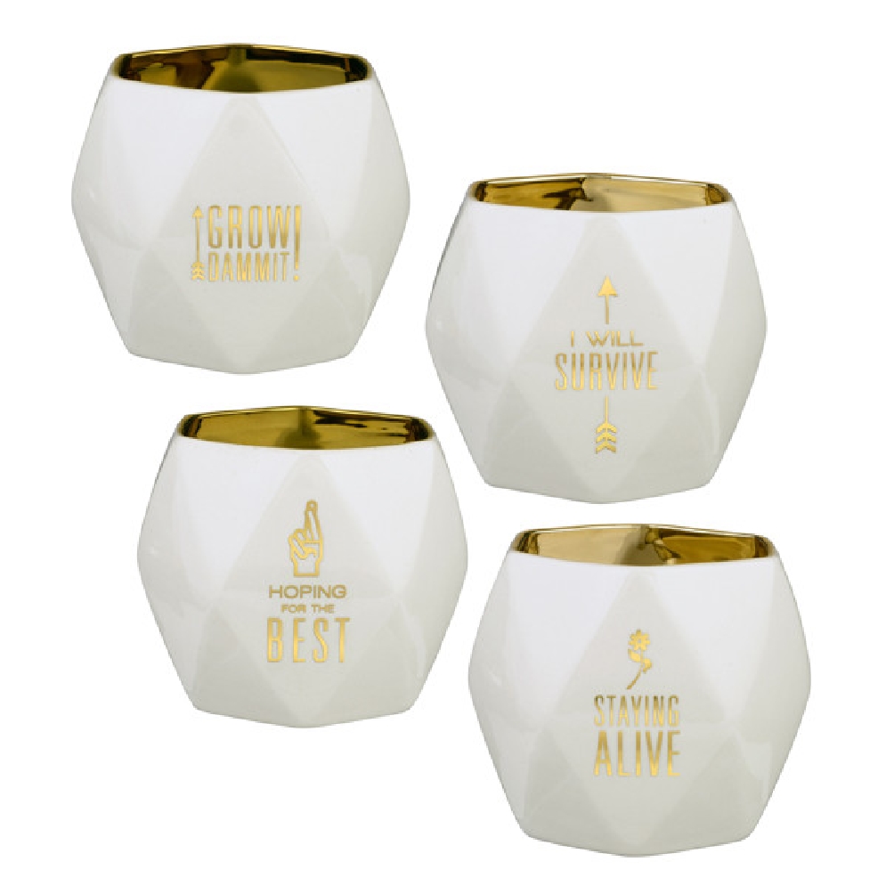 Planter - White &amp; Gold Planters. 
Choose from ...
