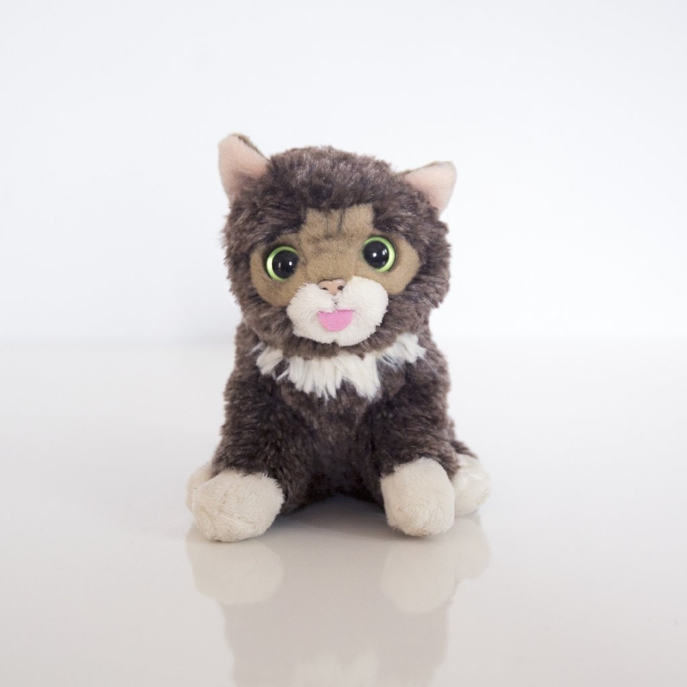 Baby Bub is a 5   plush kitten. And an advoate ...