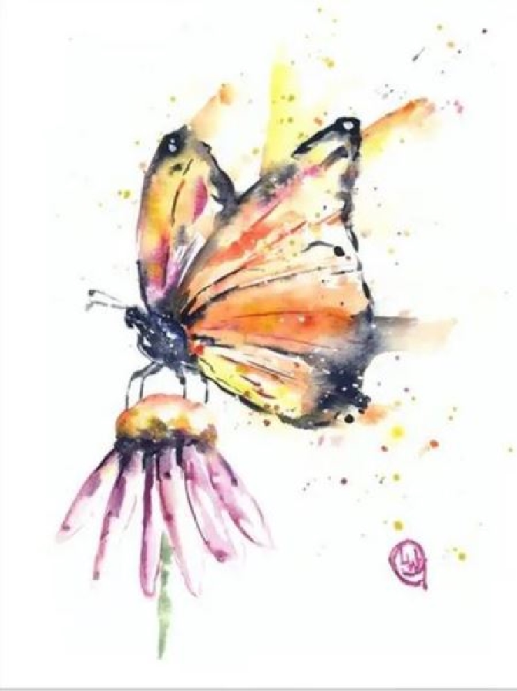 Butterfly Art Print Cards 4.25   x 5.75      Fl...