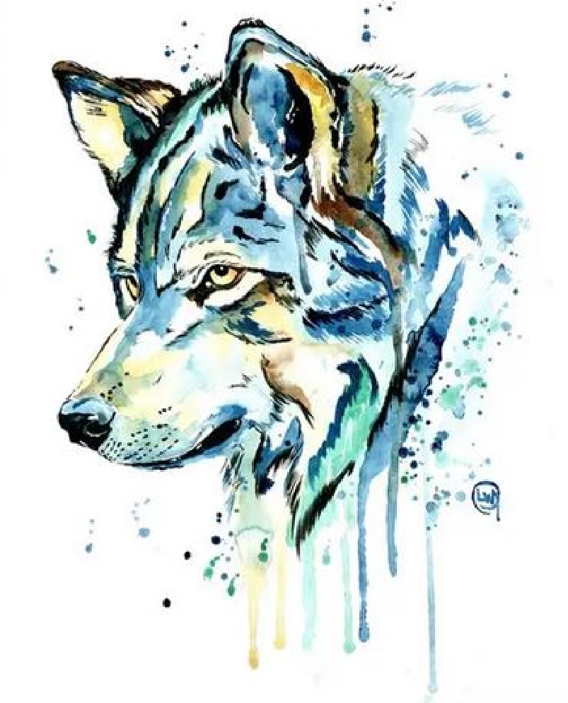 Wolf 1 Art Print 8   x 10  
From the Artist:
...