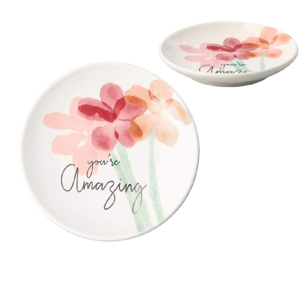   You re Amazing   - 4   Dish  