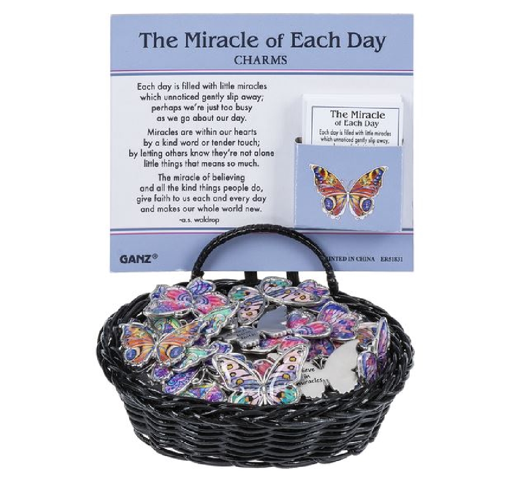 Pocket Charm
The Miracle of Each Day

Each d...