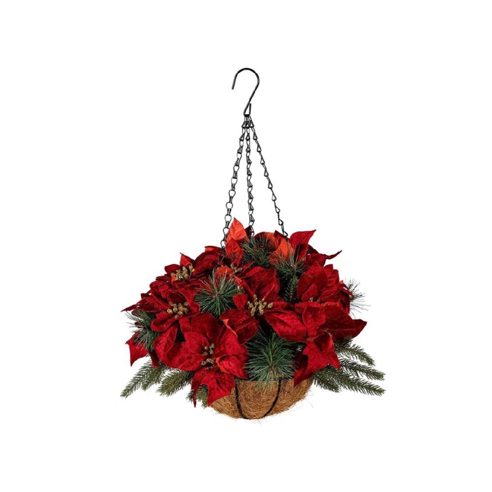 Holiday Poinsettia
Hanging Basket
12    