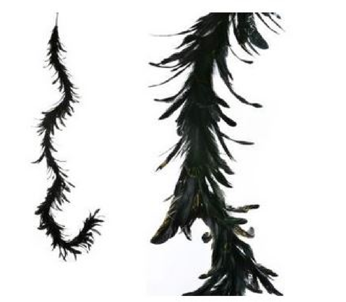 66   Black Feather Garland  
