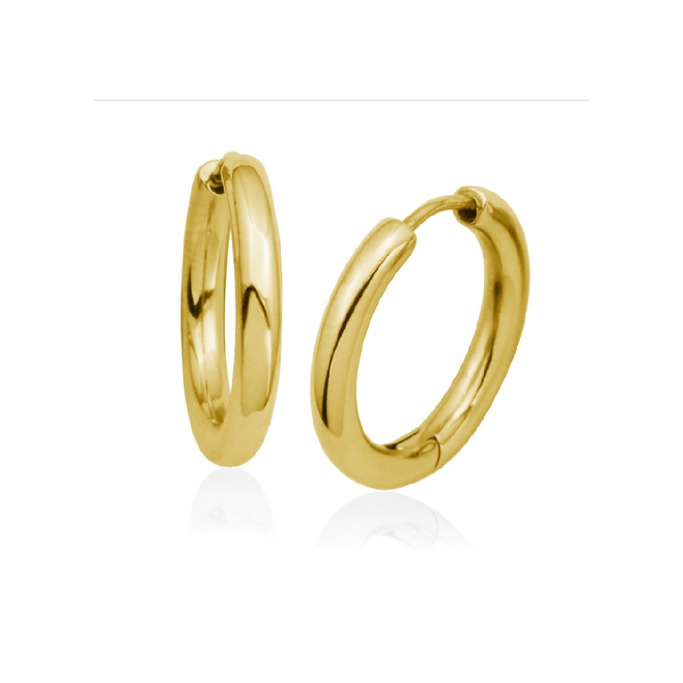 STEELX
High Polish Steel Huggie Earring
w/IP ...