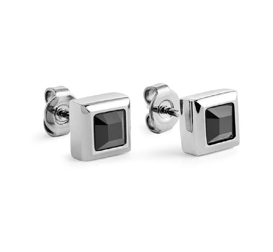 ITALGEM STEEL
Steel Earrings
Bezel Stud
w/ B...