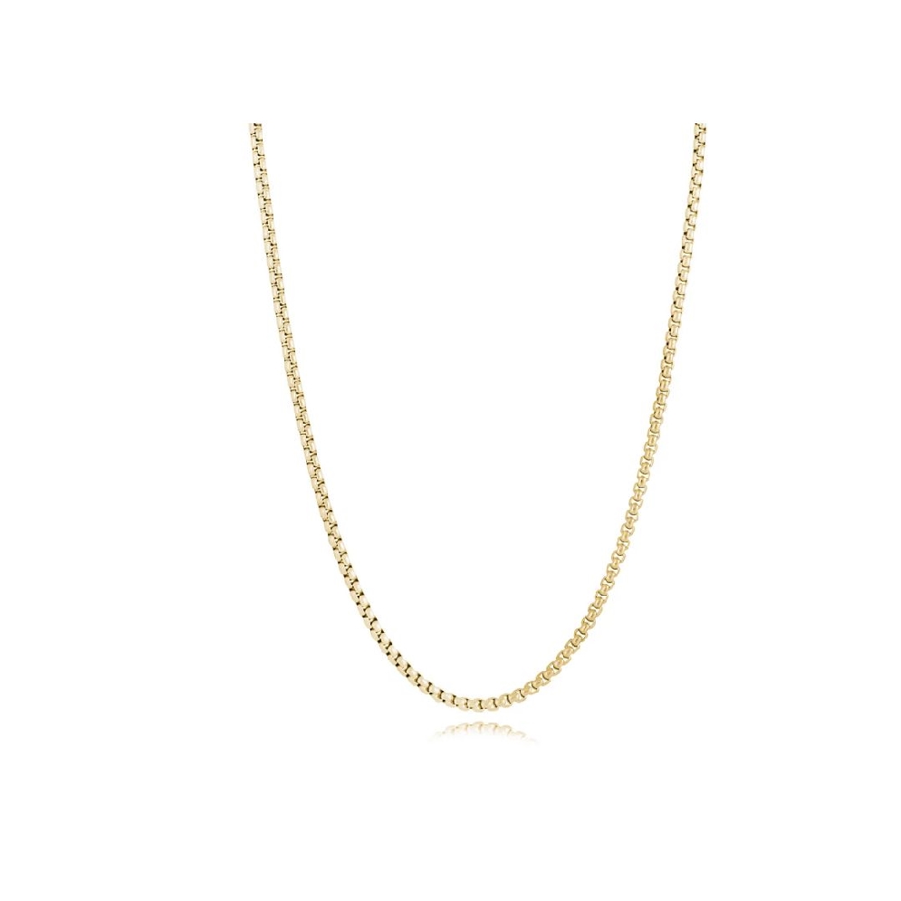 ITALGEM STEEL
Round Box Chain
Yellow Gold Pla...