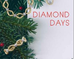 Diamond Days Christmas Flyer 2018